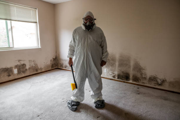 Best Certified Mold Removal  in San Carlos, TX